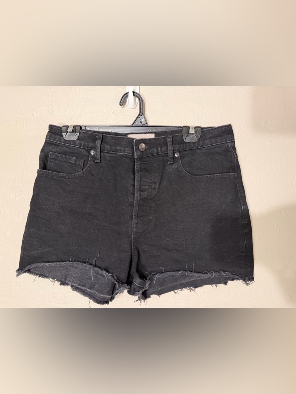 Everlane Black Cheeky Denim Shorts Size 30